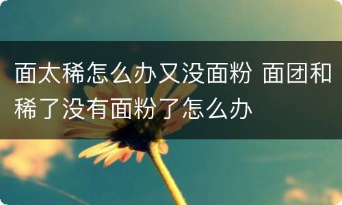 面太稀怎么办又没面粉 面团和稀了没有面粉了怎么办