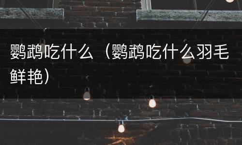 鹦鹉吃什么（鹦鹉吃什么羽毛鲜艳）