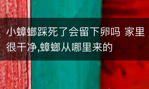 小蟑螂踩死了会留下卵吗 家里很干净,蟑螂从哪里来的