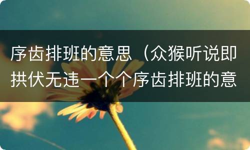 序齿排班的意思（众猴听说即拱伏无违一个个序齿排班的意思）