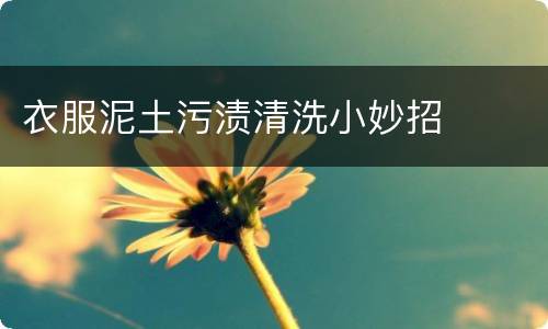衣服泥土污渍清洗小妙招