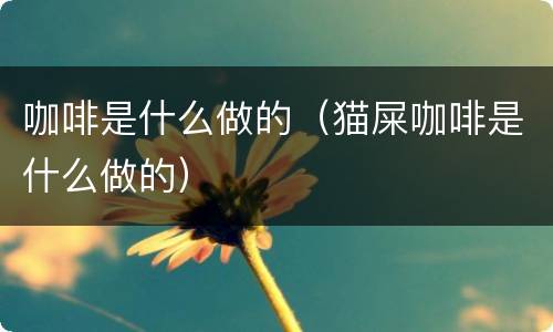 咖啡是什么做的（猫屎咖啡是什么做的）