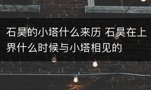 石昊的小塔什么来历 石昊在上界什么时候与小塔相见的