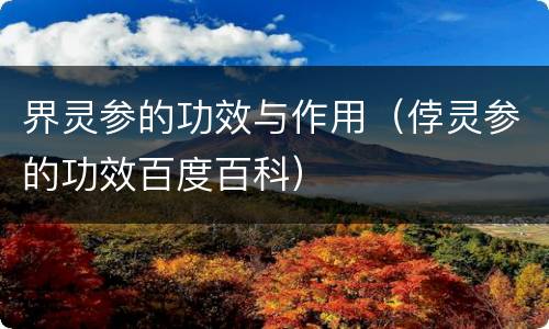 界灵参的功效与作用（侼灵参的功效百度百科）