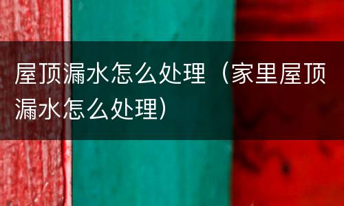 屋顶漏水怎么处理（家里屋顶漏水怎么处理）