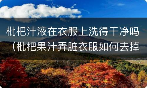 枇杷汁液在衣服上洗得干净吗（枇杷果汁弄脏衣服如何去掉）