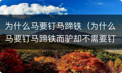为什么马要钉马蹄铁（为什么马要钉马蹄铁而驴却不需要钉蹄铁）