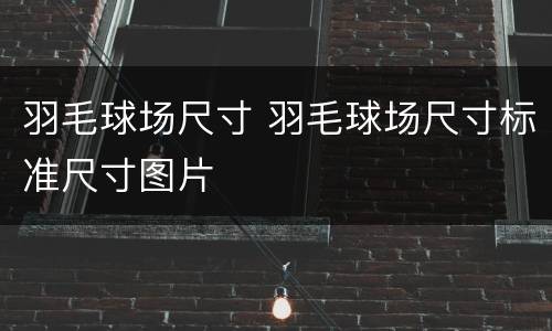 羽毛球场尺寸 羽毛球场尺寸标准尺寸图片