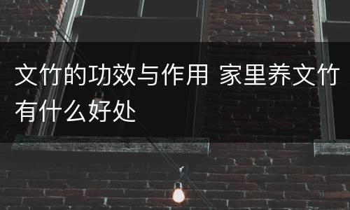 文竹的功效与作用 家里养文竹有什么好处