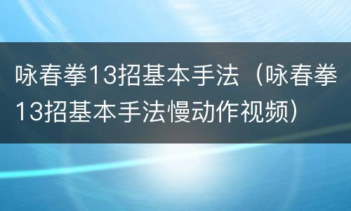 咏春拳13招基本手法（咏春拳13招基本手法慢动作视频）
