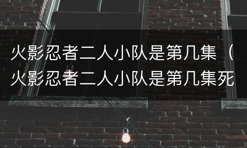 火影忍者二人小队是第几集（火影忍者二人小队是第几集死的）