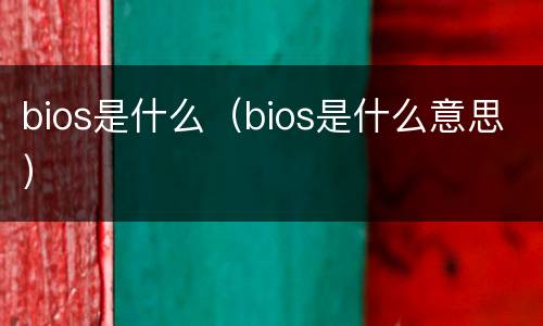 bios是什么（bios是什么意思）