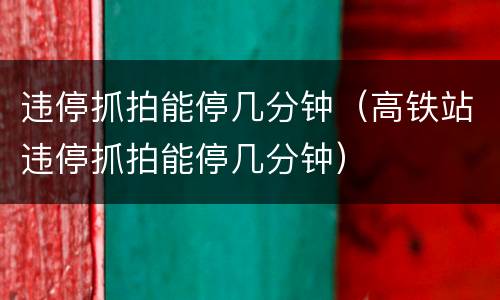违停抓拍能停几分钟（高铁站违停抓拍能停几分钟）
