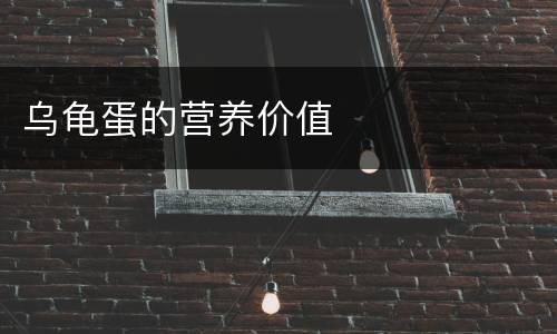 乌龟蛋的营养价值