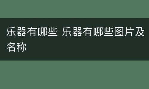 乐器有哪些 乐器有哪些图片及名称