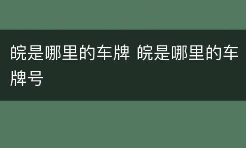 皖是哪里的车牌 皖是哪里的车牌号
