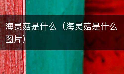 海灵菇是什么（海灵菇是什么图片）