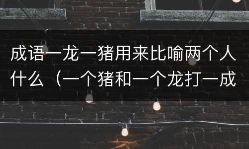 成语一龙一猪用来比喻两个人什么（一个猪和一个龙打一成语）