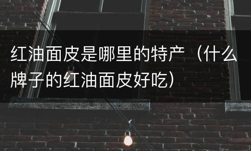 红油面皮是哪里的特产（什么牌子的红油面皮好吃）