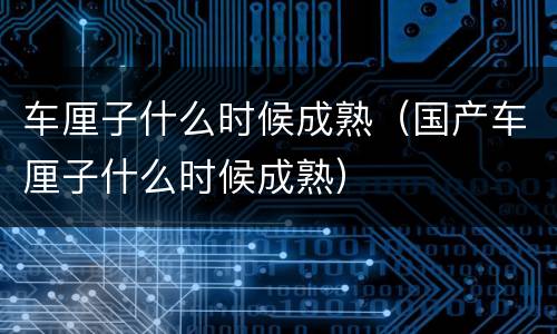 车厘子什么时候成熟(国产车厘子什么时候成熟) 车厘子什么时候成熟(国产车厘子什么时候成熟)