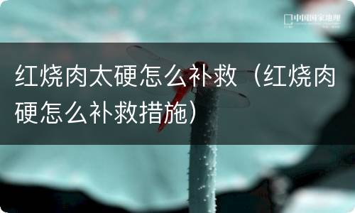 红烧肉太硬怎么补救（红烧肉硬怎么补救措施）