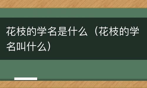 花枝的学名是什么（花枝的学名叫什么）
