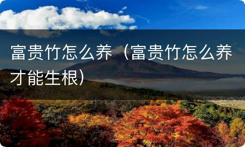 富贵竹怎么养（富贵竹怎么养才能生根）