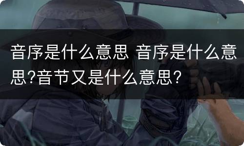 音序是什么意思 音序是什么意思?音节又是什么意思?