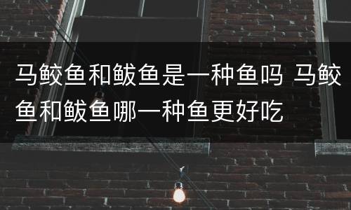 马鲛鱼和鲅鱼是一种鱼吗 马鲛鱼和鲅鱼哪一种鱼更好吃