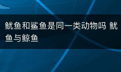 鱿鱼和鲨鱼是同一类动物吗 鱿鱼与鲸鱼