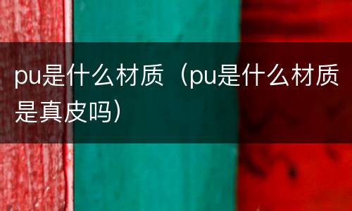 pu是什么材质（pu是什么材质是真皮吗）