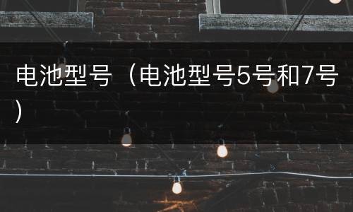 电池型号（电池型号5号和7号）