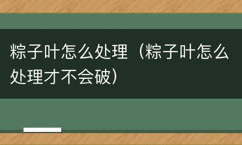 粽子叶怎么处理（粽子叶怎么处理才不会破）