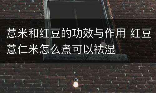 薏米和红豆的功效与作用 红豆薏仁米怎么煮可以祛湿