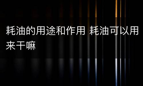 耗油的用途和作用 耗油可以用来干嘛