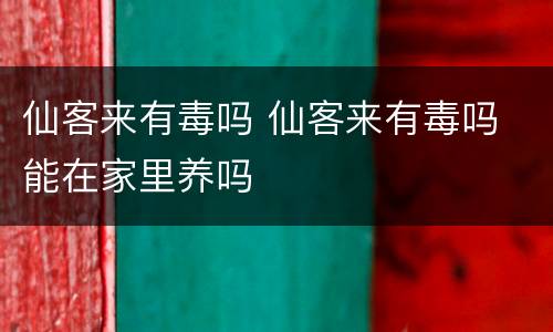 仙客来有毒吗 仙客来有毒吗 能在家里养吗