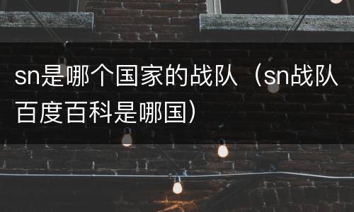 sn是哪个国家的战队（sn战队百度百科是哪国）