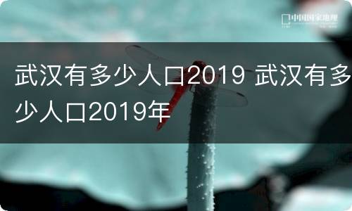 武汉有多少人口2019 武汉有多少人口2019年