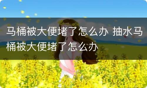 马桶被大便堵了怎么办 抽水马桶被大便堵了怎么办