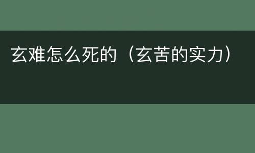 玄难怎么死的（玄苦的实力）