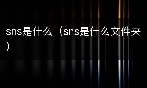 sns是什么（sns是什么文件夹）