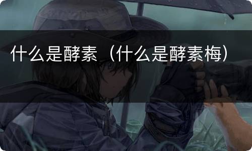 什么是酵素（什么是酵素梅）