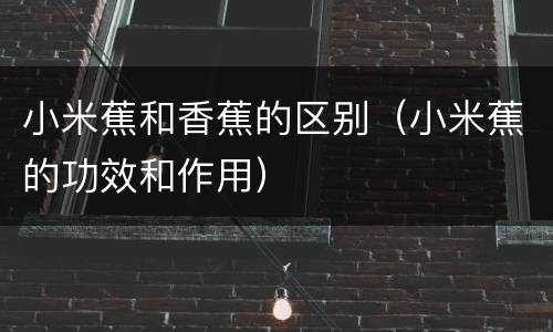 小米蕉和香蕉的区别（小米蕉的功效和作用）