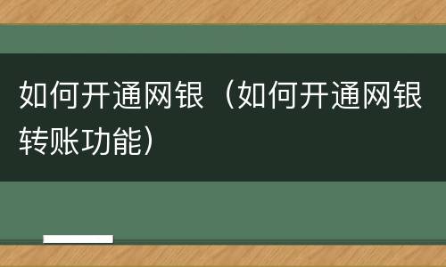 如何开通网银（如何开通网银转账功能）