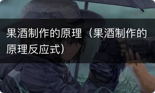 果酒制作的原理（果酒制作的原理反应式）