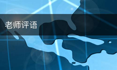 老师评语