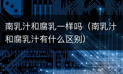 南乳汁和腐乳一样吗（南乳汁和腐乳汁有什么区别）