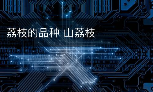 荔枝的品种 山荔枝