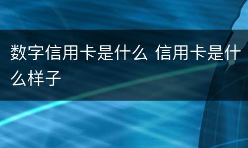 数字信用卡是什么 信用卡是什么样子