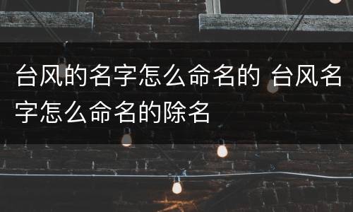 台风的名字怎么命名的 台风名字怎么命名的除名